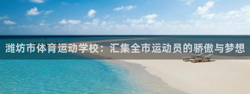 vsport体育官方正版app开户:潍坊市体育运动学校:汇集