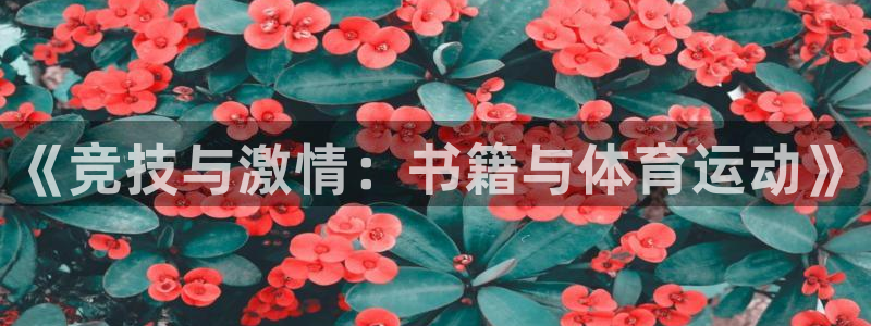 vsport体育官网下载招商电话是多少:《竞技与激情:书籍与