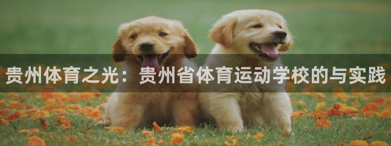 海南vsport体育官网下载:贵州体育之光:贵州省体育运动学