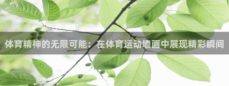 vsport体育官网下载招商电话号码是多少啊:体育精神的无限