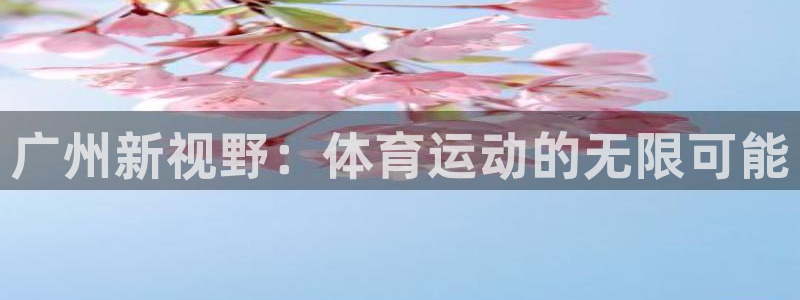 vsport体育官网下载招商电话是多少啊:广州新视野:体育运